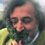 Jack Herer
