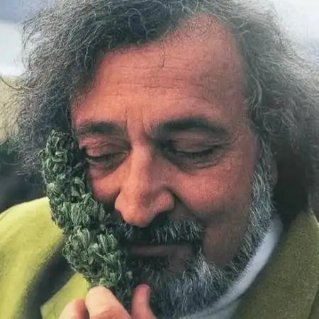 Jack Herer