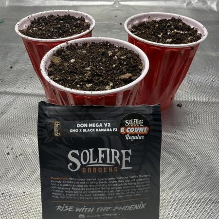 The Don Mega F1 v2 - Solfire