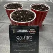 The Don Mega F1 v2 - Solfire