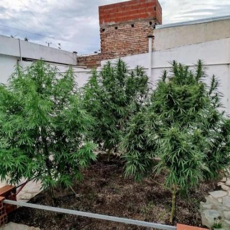 Argentina Outdoor 2025