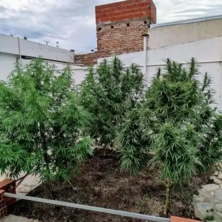 Argentina Outdoor 2025