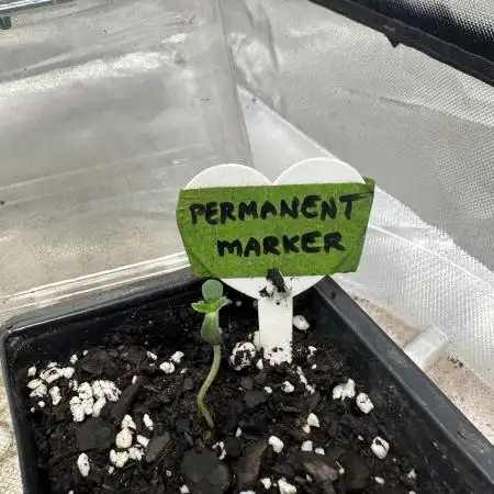 Permanent Marker