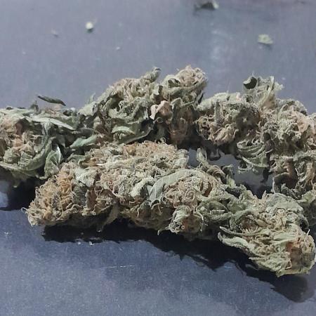 6 pés.  Tangie