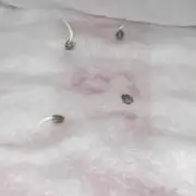 Blueberry @Seis Pés