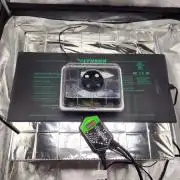 Starting the Seed