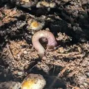 2026 to the Eternity