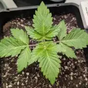 2026 to the Eternity