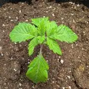 2026 to the Eternity