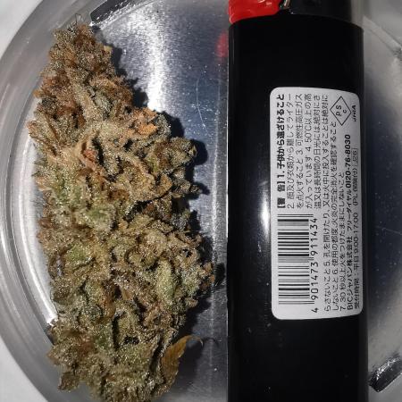 Old Dirty Biker // Karma Genetics // Krumme Gurken Cut