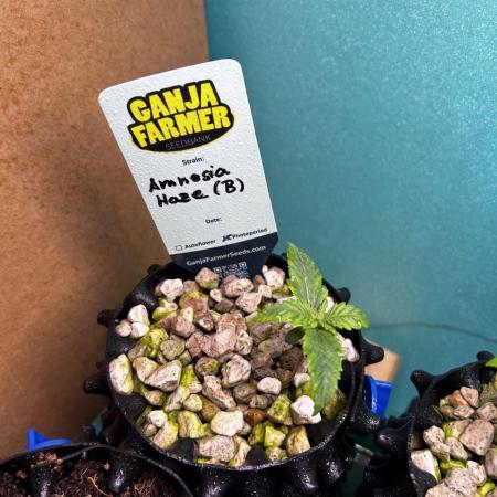 GanjaFarmer SponsorGrow