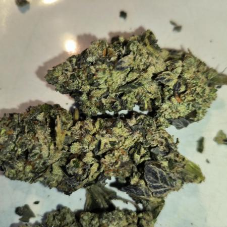 dognabis #15 Dognabiscup Permanent Maker