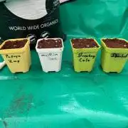First Grow with new Setup
