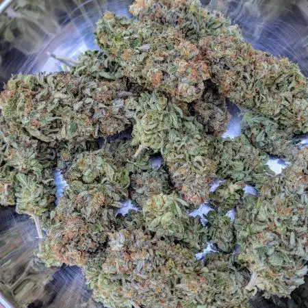 To purple or not to purple: That is the Question!