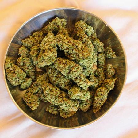Taste the Jungle | Gorilla zkittlez auto
