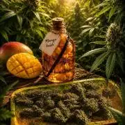 MANGO KUSH
