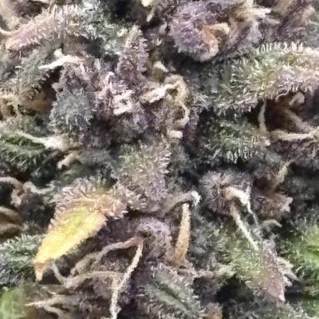 Banana Purple Punch RF3