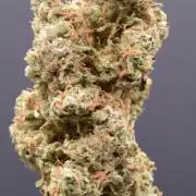 Ice Cream Cake (DWC)