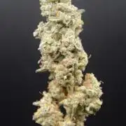 Afghan Kush (DWC)