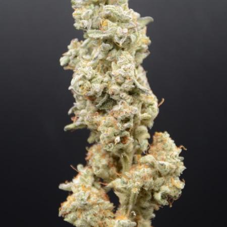 Afghan Kush (DWC)