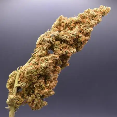 Desfrán (DWC)