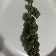 Ice Cream Cake (DWC)