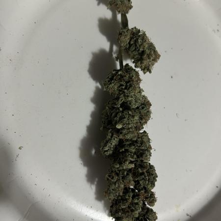 Ice Cream Cake (DWC)