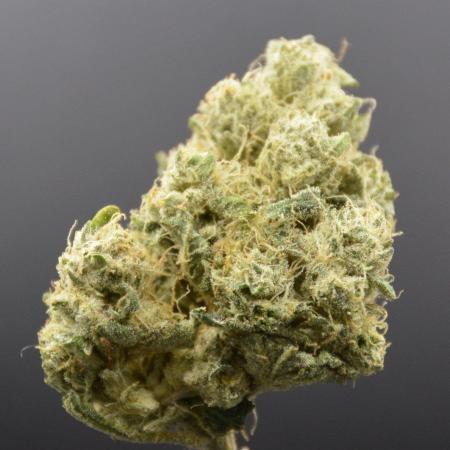 Hella Jelly (DWC)