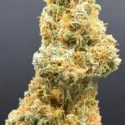 Maui Waui (DWC) 2