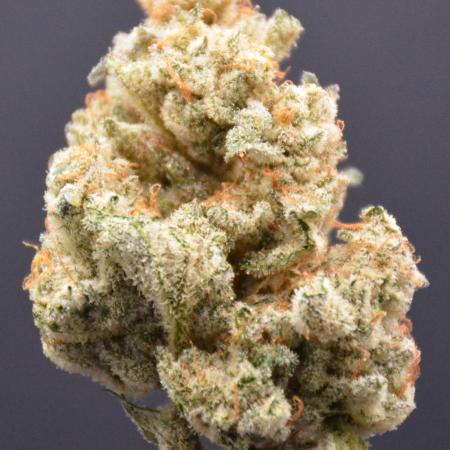 Godfather Bomb (DWC)