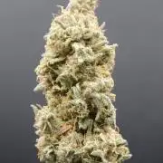 Strawberry Cough (DWC) 2
