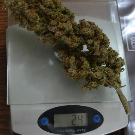 Desfrán in Hydro (DWC)