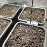 4 versch. Autos im Autopot