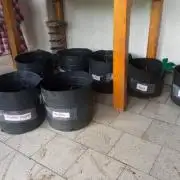 Noviembre Fotoperiodicas