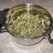 Jack Herer Sensi Seeds 3x (120x60)