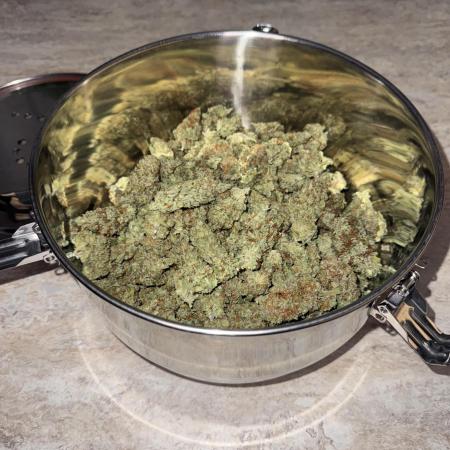 Jack Herer Sensi Seeds 3x (120x60)