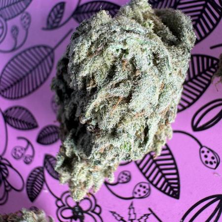 DosiDelirium/10gallon/out