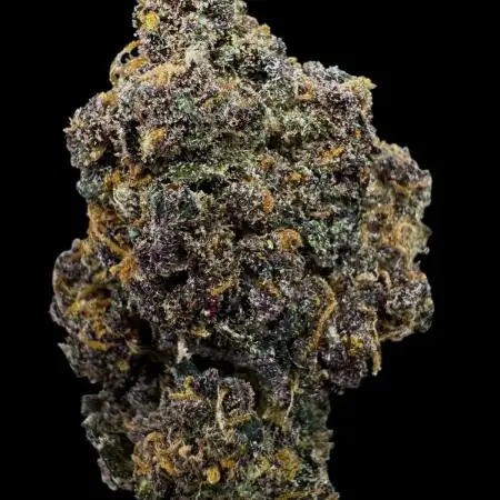 Purple Punch auto