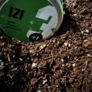 Izi Diesel Génétics Auto