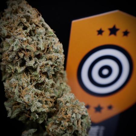 Sunset Sherbet Go Fast