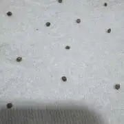 DeliciouS Cookies 10 x