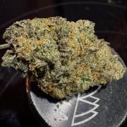 MAC