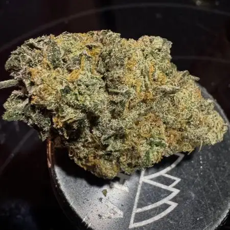 MAC