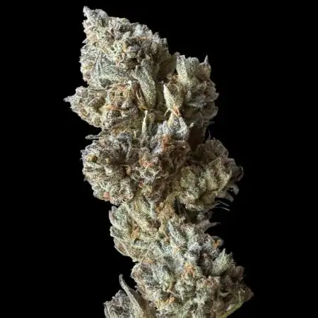 Auto Moon Rock