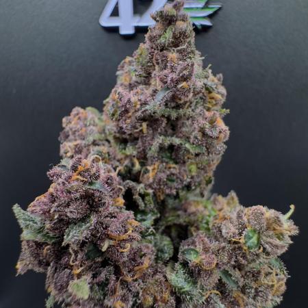 Purple Punch auto