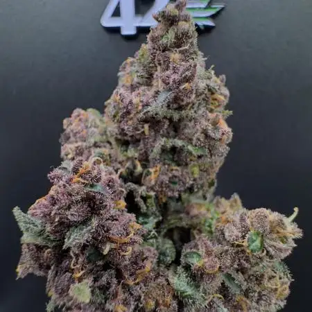 Purple Punch auto