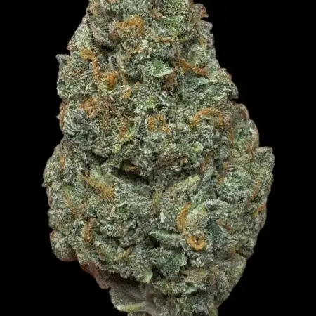Ak-47 XL auto