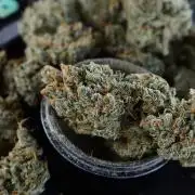 Delicious Cookies Auto #3?