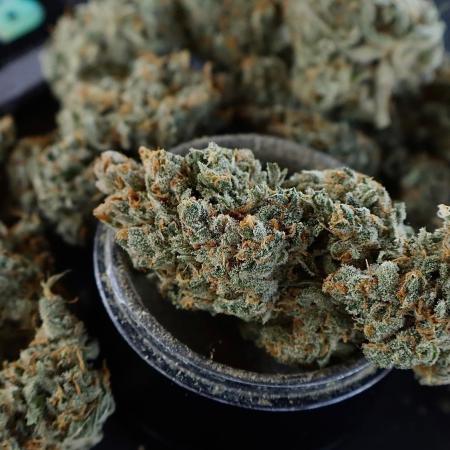 Delicious Cookies Auto #3?