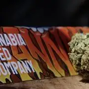 Lemon haze Auto